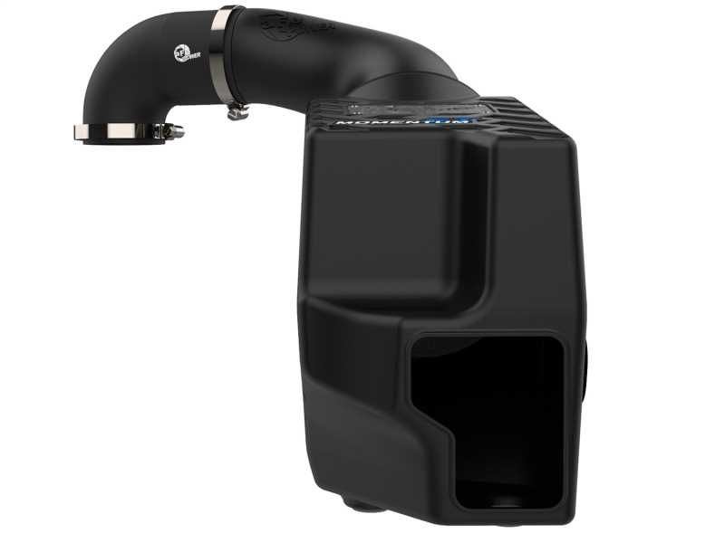 Momentum ST Pro DRY S Air Intake System 51-46209